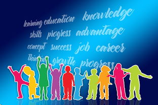 开云官网APP下载-中国篮球职业联赛品牌战略及市场推广研究，中国的职业篮球联赛